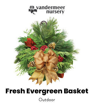 Outdoor Decor - Fresh Evergreen Basket (12
